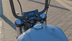 Gebrauchte Street Bob