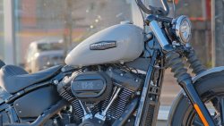 Gebrauchte Street Bob