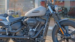 Gebrauchte Street Bob
