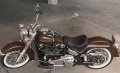 Softail Deluxe Modell 2019 in Rawhide