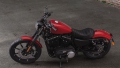 Sportster XL 883 Iron Modell 2019 in Wicked Red