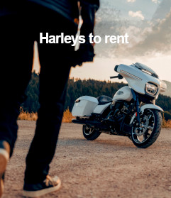 Harleys to rent