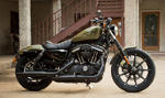 Mietmaschine Sportster Iron 883 