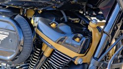 Neumaschine Jubiläumsumbau Road King Special