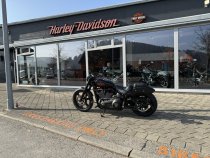 Gebrauchte Street Bob "Harley Quinn meets the Joker"
