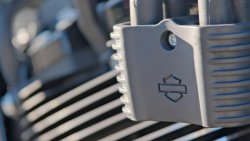 Gebrauchte Street Bob