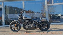 Gebrauchte Street Bob