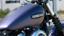 Used Softail Street Bob