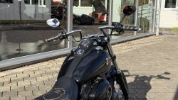 Used Dyna Street Bob