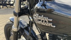 Used Dyna Street Bob