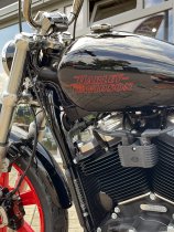 Neumaschine (Custom-Umbau) Softail Standard