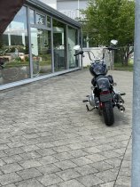 Neumaschine (Custom-Umbau) Softail Standard