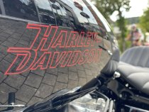 Neumaschine (Custom-Umbau) Softail Standard