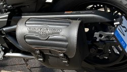 Used Sportster S