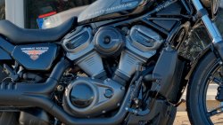 Gebrauchte Sportster Nighster