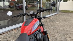 Used Sportster Nighster