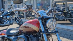 Gebrauchte XL 1200 Custom