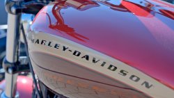 Gebrauchte XL 1200 Custom