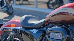 Gebrauchte XL 1200 Custom