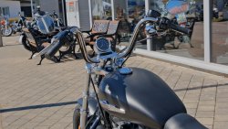 Gebrauchte Sportster 1200 Custom B
