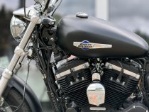 Gebrauchte Sportster 1200 Custom B