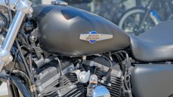 Gebrauchte Sportster 1200 Custom B