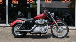 Used Sportster 883 Custom