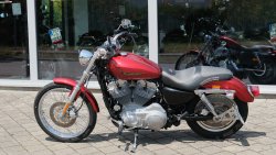 Used Sportster 883 Custom