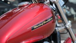 Used Sportster 883 Custom