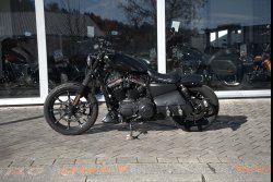 Gebrauchte Sportster Iron
