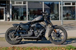 Gebrauchte Sportster Iron