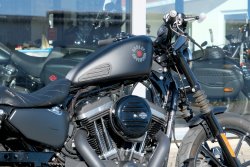 Gebrauchte Sportster Iron