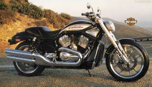 Harley-Davidson V-Rod VRSCR 2005