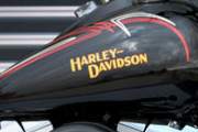Harley-Davidson FLSTSB Cross Bones 