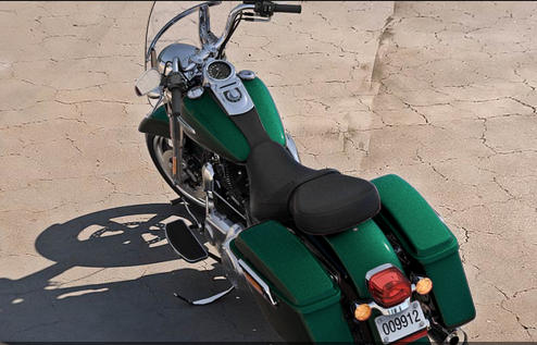 Dyna Switchback Modell 2016 in Deep Jade Pearl