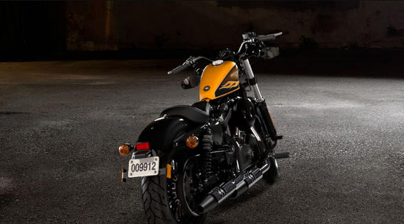 Sportster Forty-Eight Modell 2016 in Hard Candy Gold Flake