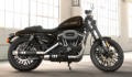 Sportster XL 1200 Roadster Modell 2018 in Sumatra Brown