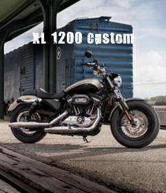 Harley-Davidson Sportster Sportster XL 1200 Custom Modelljahr 2018