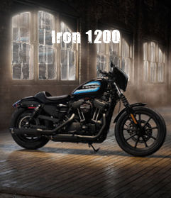 Harley-Davidson Sportster Sportster Iron 1200 Modelljahr 2018