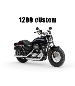 Harley-Davidson Sportster Sportster XL 1200 Custom Modelljahr 2019