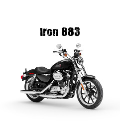 Harley-Davidson Sportster Sportster Iron 883 Modelljahr 2019
