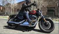 Sportster Forty-Eight Special / Dark-Custom-Style