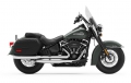 Softail Heritage Classic Modell 2020 in Silver Pine / Spruce