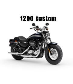 Harley-Davidson Sportster XL 1200 Custom Modelljahr 2020