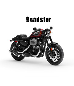 Harley-Davidson Sportster XL 1200 Roadster Modelljahr 2020
