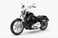 Softail Standard Modell 2025 in Vivid Black